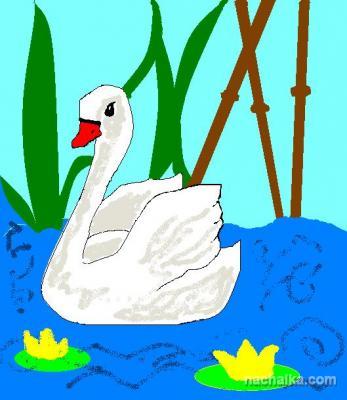 Дикие лебеди - The Wild Swans